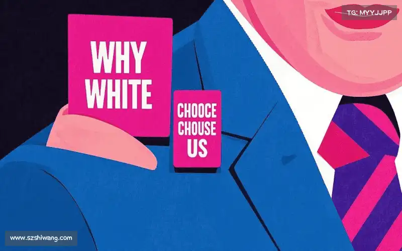 为什么选择我们？